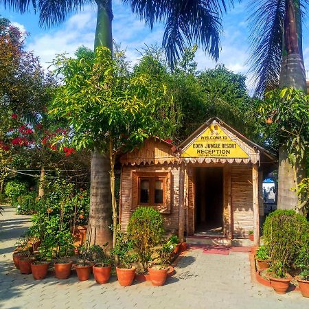 Eden Jungle Resort Sauraha Luaran gambar