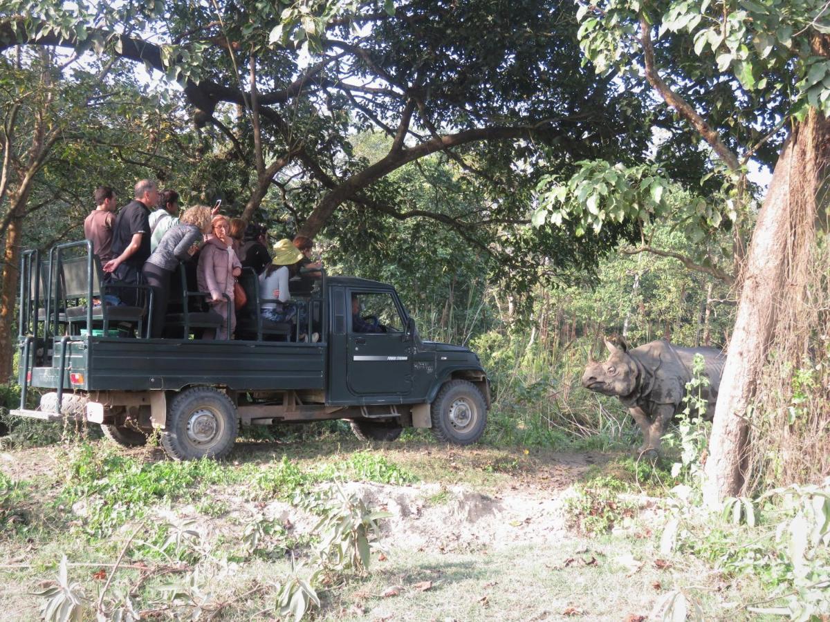 Eden Jungle Resort Sauraha Luaran gambar