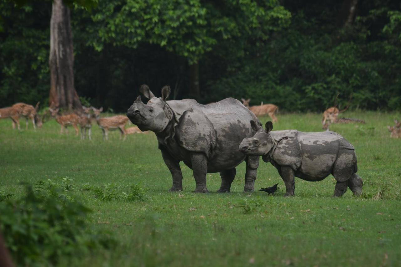 Eden Jungle Resort Sauraha Luaran gambar