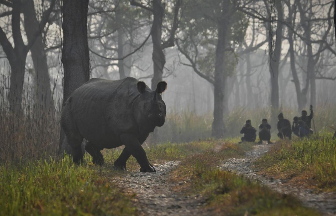 Eden Jungle Resort Sauraha Luaran gambar