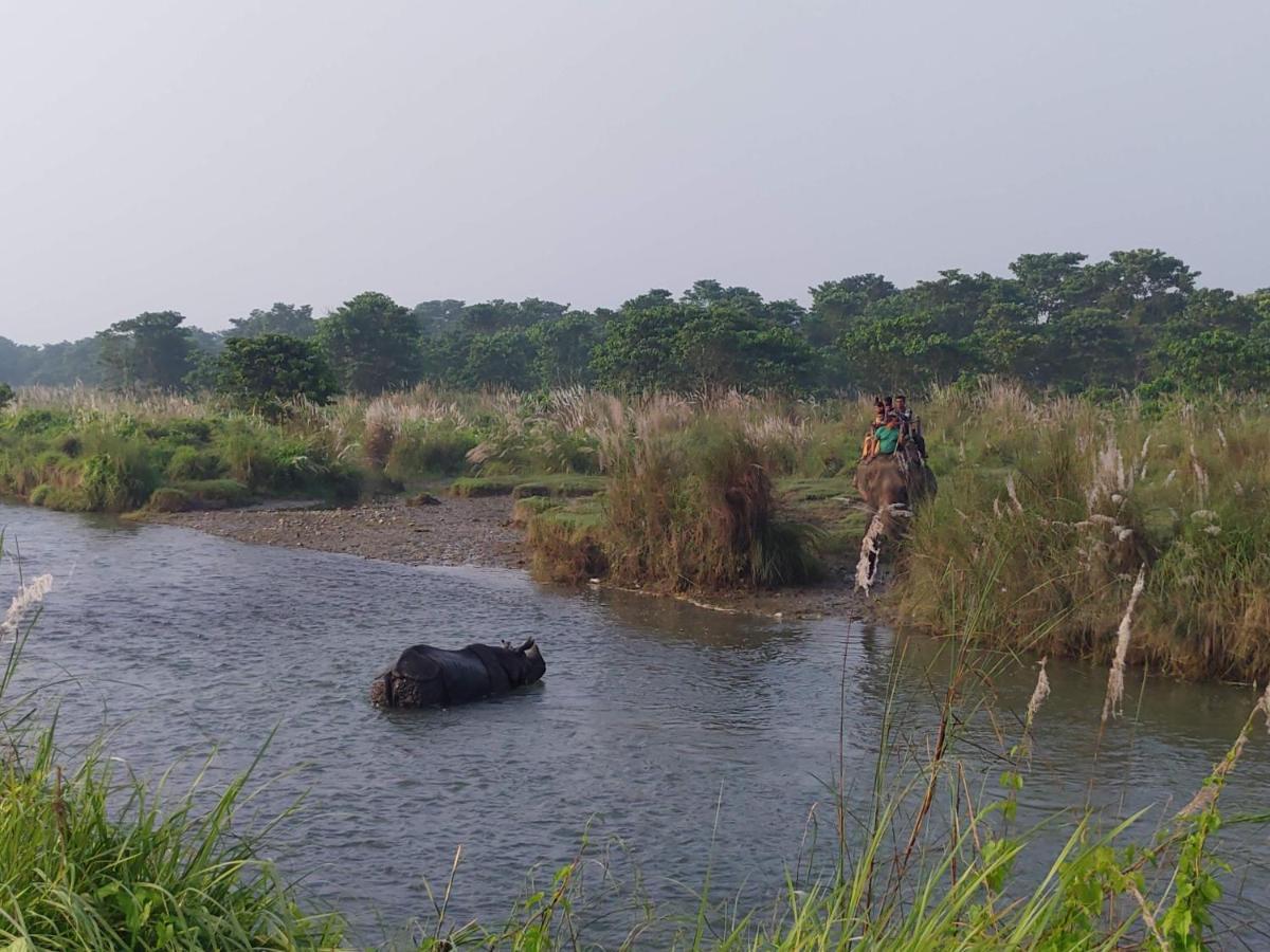 Eden Jungle Resort Sauraha Luaran gambar
