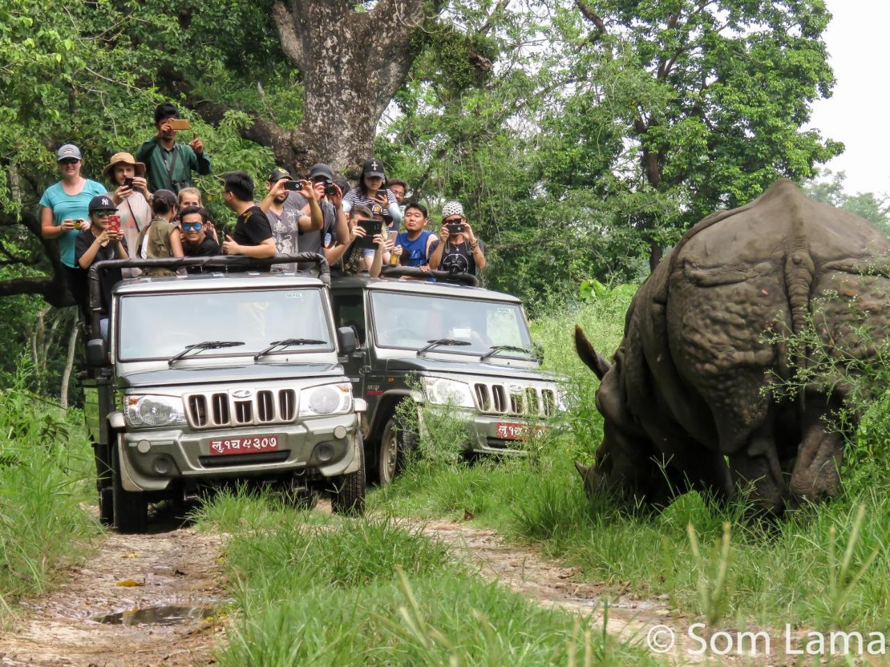 Eden Jungle Resort Sauraha Luaran gambar