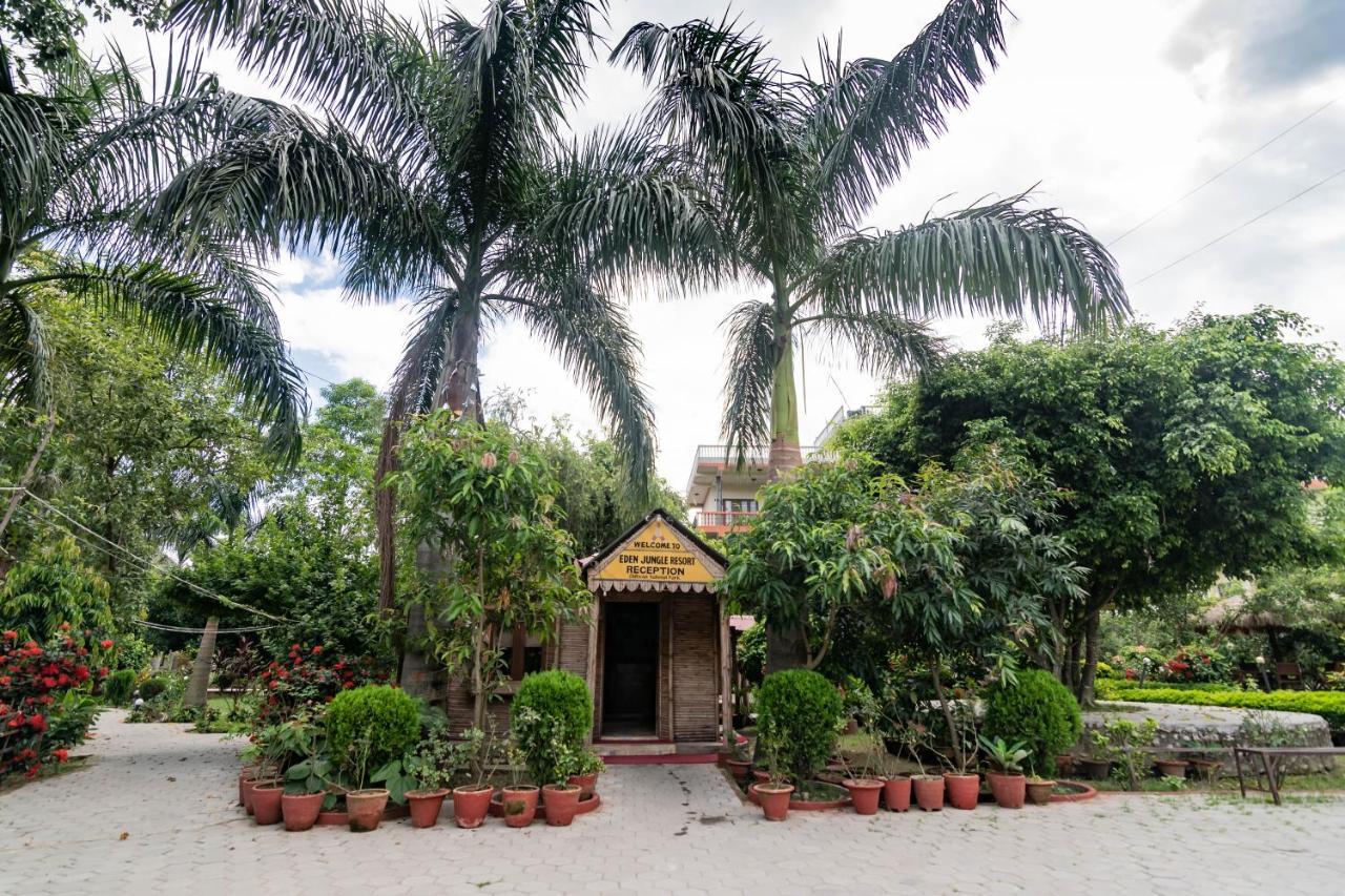 Eden Jungle Resort Sauraha Luaran gambar