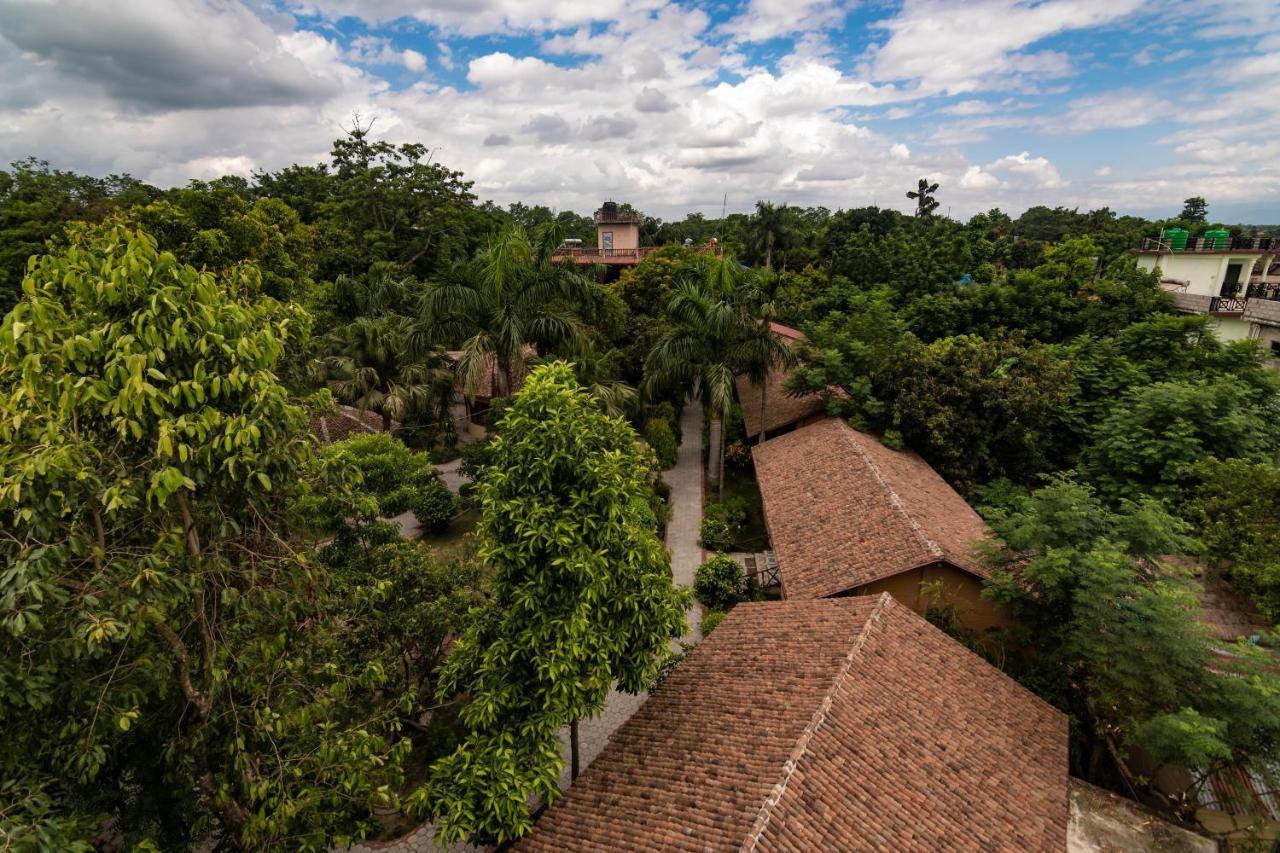 Eden Jungle Resort Sauraha Luaran gambar