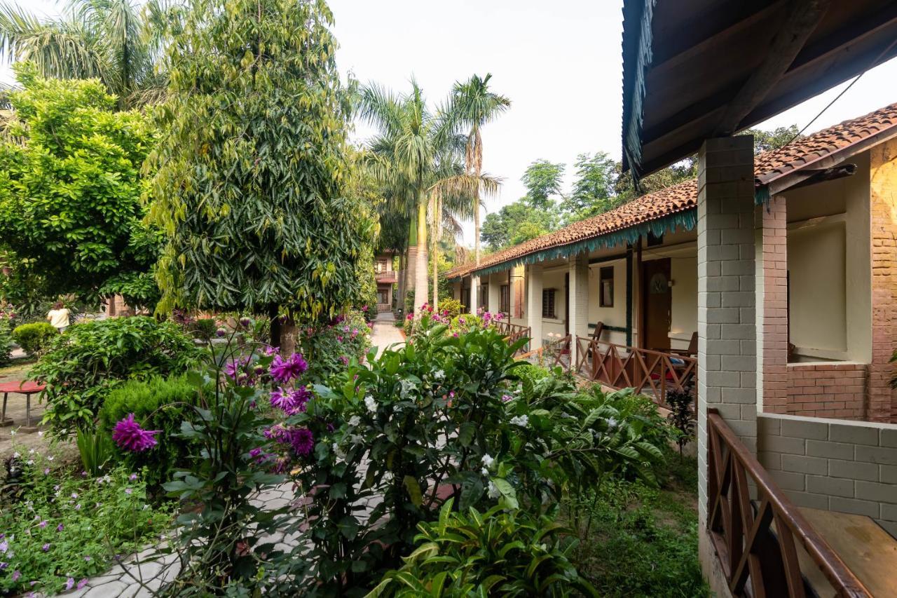 Eden Jungle Resort Sauraha Luaran gambar