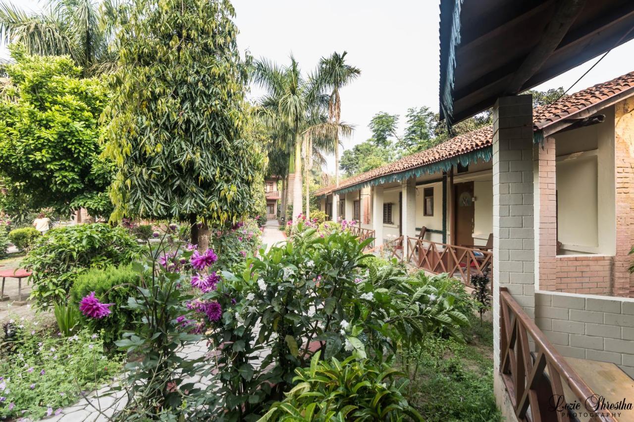 Eden Jungle Resort Sauraha Luaran gambar